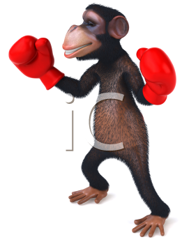 Primate Clipart