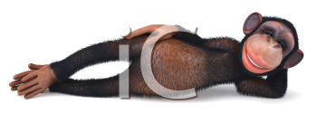 Primate Clipart