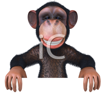 Primate Clipart