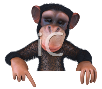 Primate Clipart