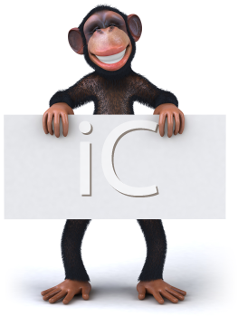 Primate Clipart