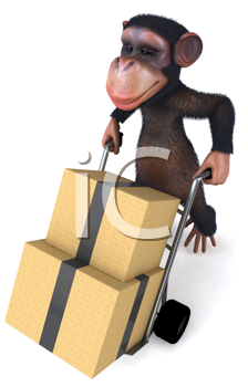 Primate Clipart