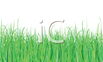 Grass and Tree Clipart