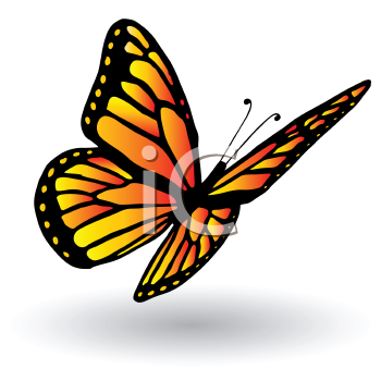 Insect Clipart