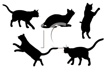 Pet Clipart