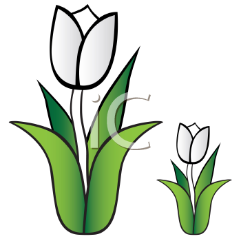 Flower Clipart