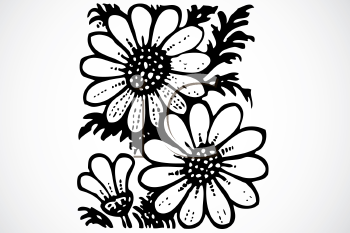Royalty Free Daisy Clip art, Flower Clipart