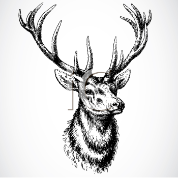 Deer Clipart