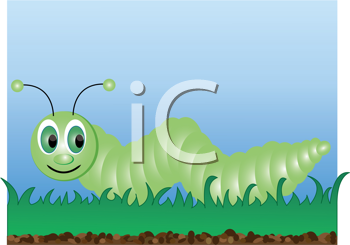 Insect Clipart