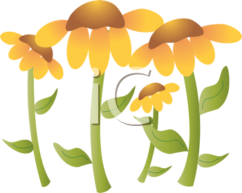 Flower Clipart