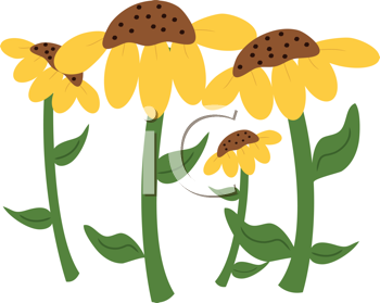 Flower Clipart