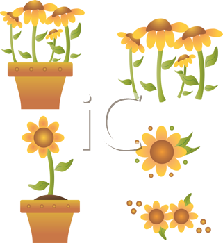 Flower Clipart