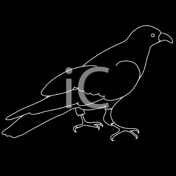 Bird Clipart