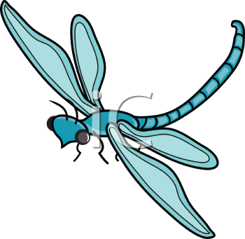 Insect Clipart