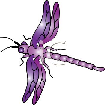 Insect Clipart