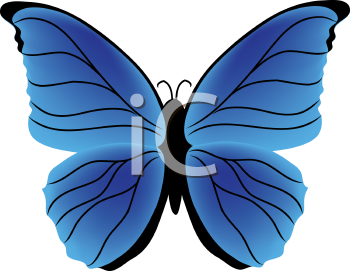 Insect Clipart