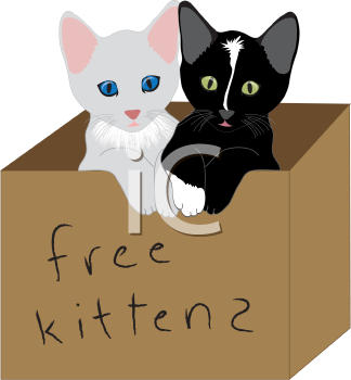 Pet Clipart