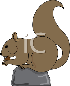 Rodent Clipart