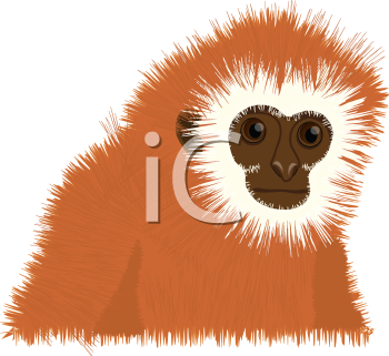 Primate Clipart