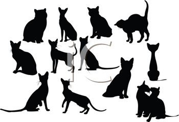 Pet Clipart