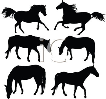 Horse Clipart