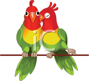 Bird Clipart