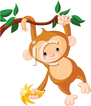 Primate Clipart