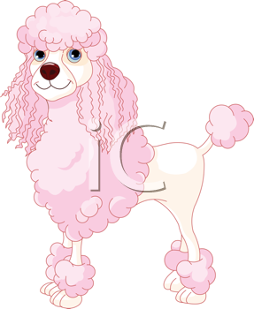 Pet Clipart