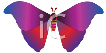 Insect Clipart