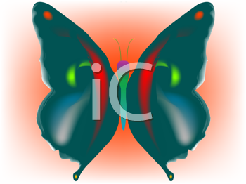 Insect Clipart