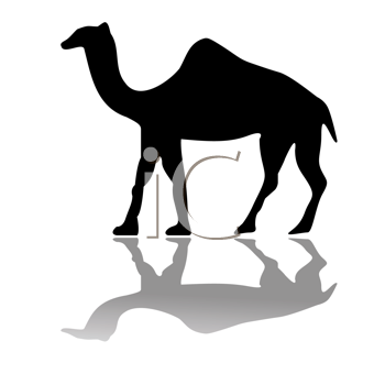 Camel Clipart