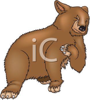 Bear Clipart