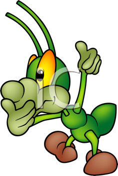 Insect Clipart