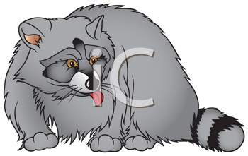 Mammal Clipart