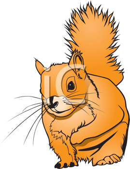 Rodent Clipart