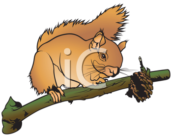 Rodent Clipart