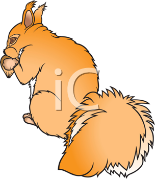 Rodent Clipart