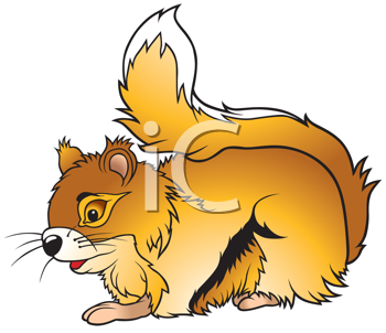 Rodent Clipart