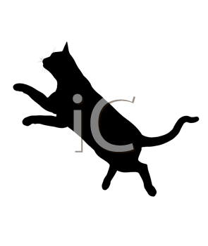 Pet Clipart