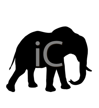 Mammal Clipart