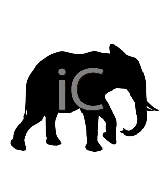 Mammal Clipart