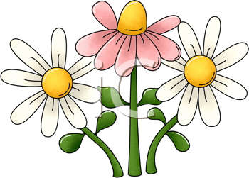 Flower Clipart