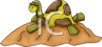 Reptile Clipart