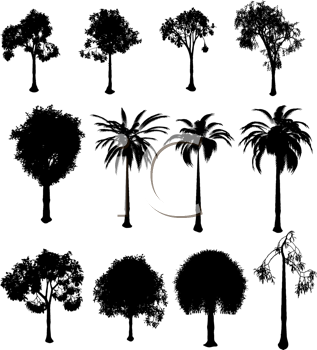 Grass and Tree Clipart