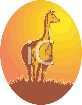 Camel Clipart