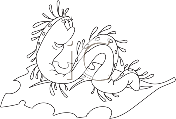 Invertebrates Clipart