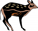 Deer Clipart