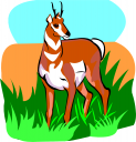Antelope Clipart