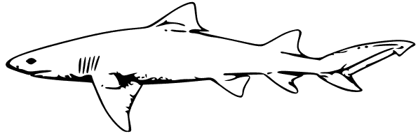 Free Lemon Shark Clipart